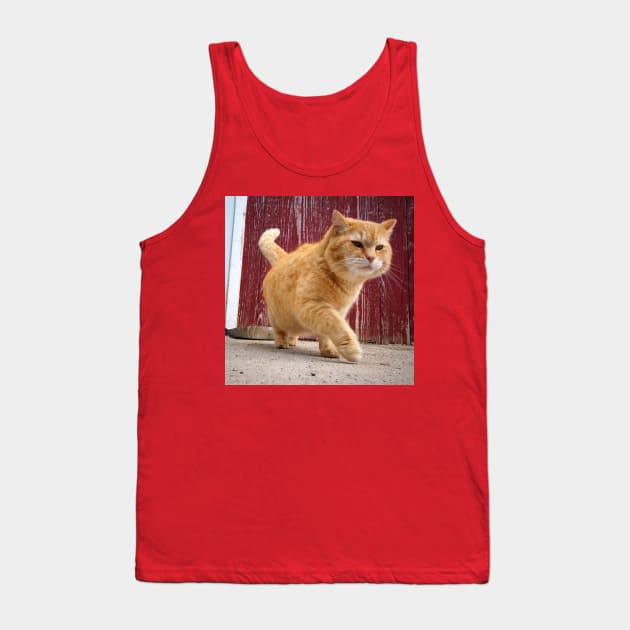 Fat Orange Cat Tank Top by 1Redbublppasswo